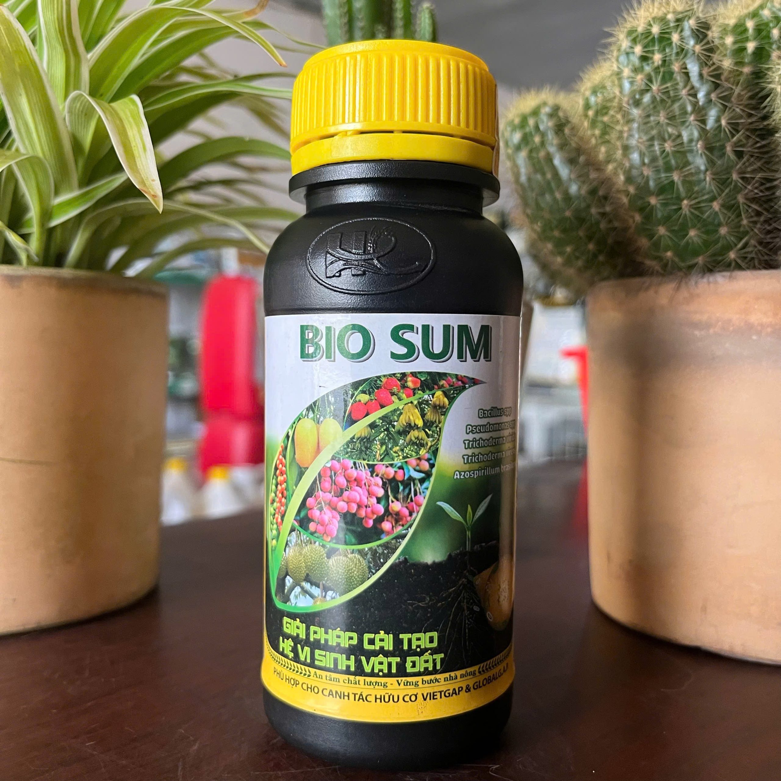 BIO SUM MỸ – CẢI TẠO HỆ VI SINH VẬT ĐẤT – PHÂN GIẢI, KÍCH RỄ, PHÒNG NGỪA NẤM BỆNH, CÔN TRÙNG 250ML